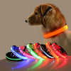 LeuchtHalsband LED - NachtGlanz