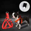 GlowSafe LED Hundegeschirr